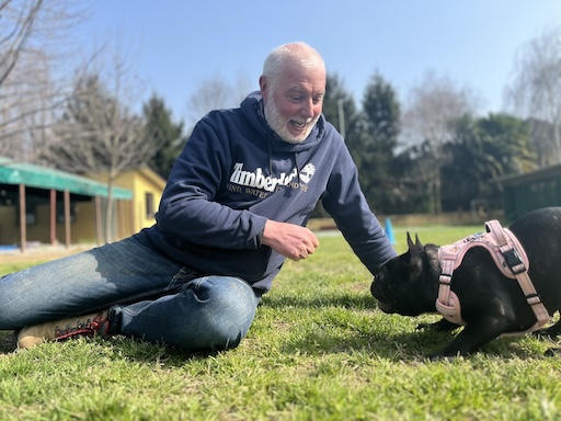 Educazione e relazione con un Bulldog Francese durante una sessione di gioco